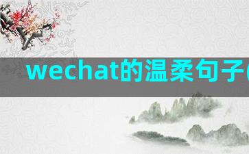 wechat的温柔句子(WeCHAT ID)